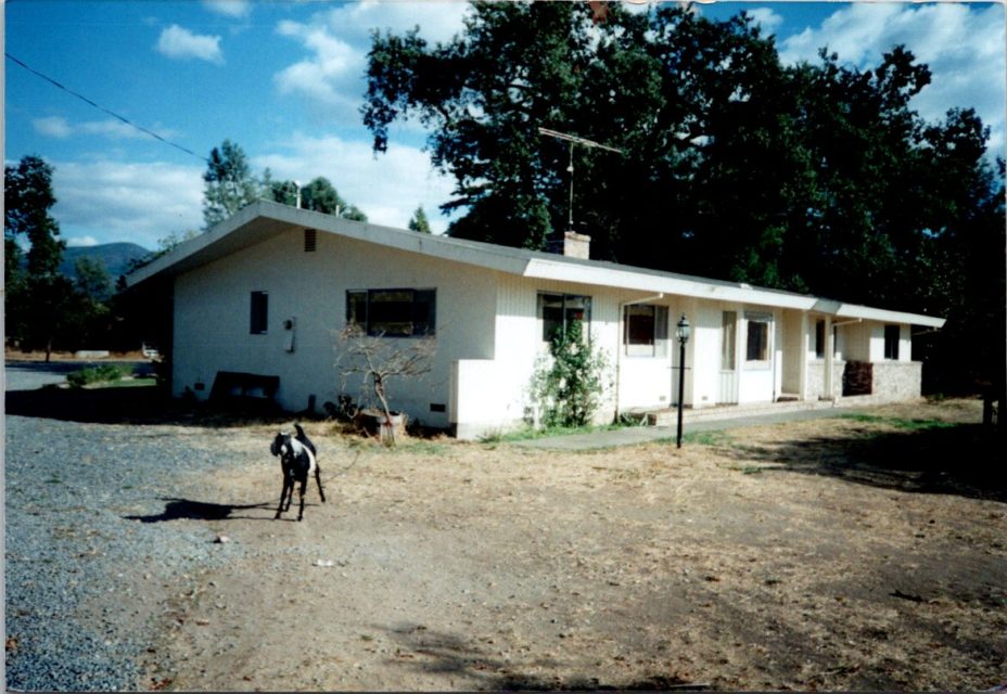 1995 - Steve and Suzie Reynolds purchased a rundown chicken farm with a boarded up house and a few goats
