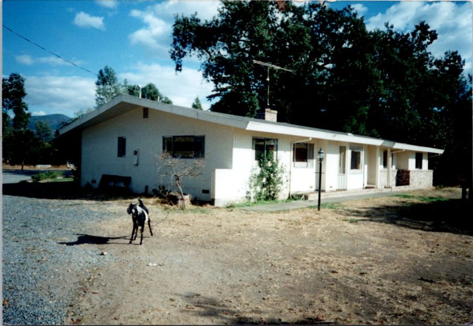 old reynolds house with goat