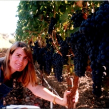 Suzie reynolds in the vineyards