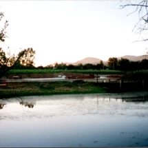 view of the winery over the pond before construction