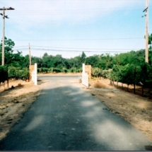 gate entry into the reynolds property in 1999