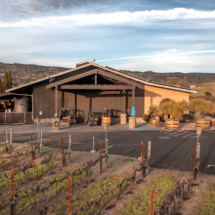 front of reynolds family winery with front vineyards