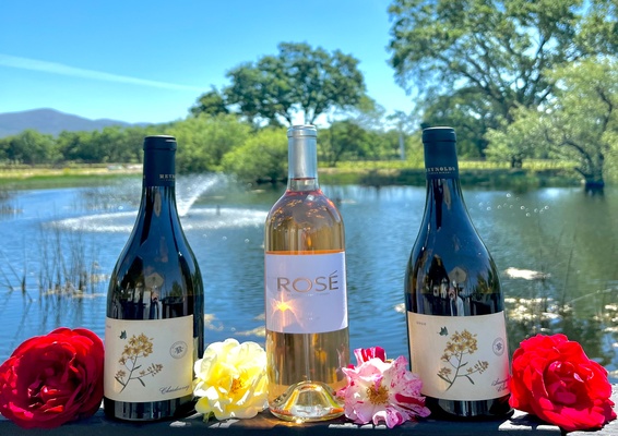 reynolds_resized_566x400